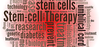 You are currently viewing Stem Cells: The Next Chapter in Medicine