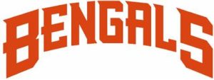 Read more about the article The Cincinnati Bengals: A Legacy of Grit and Determination