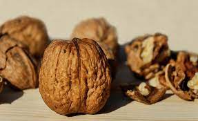 Read more about the article Walnut: The Brain-Boosting, Heart-Healthy Supernut
