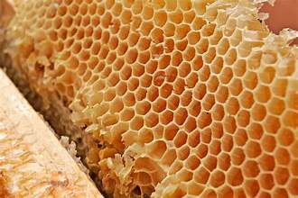 You are currently viewing Golden Nectar of the Gods: Honey’s Uses, Health Benefits, & More!